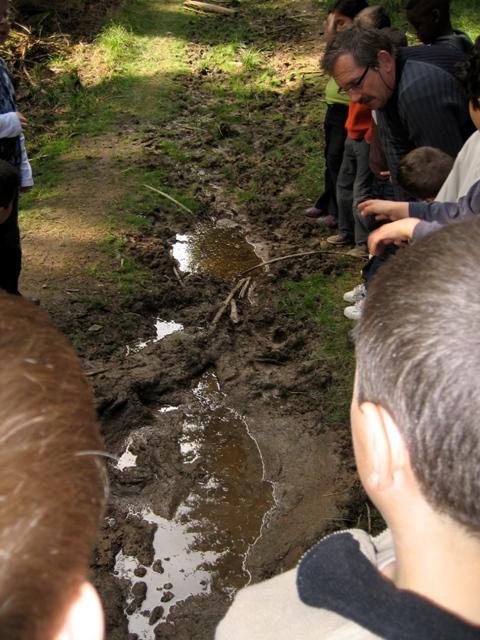 Saint-Michel - Borzée 2007